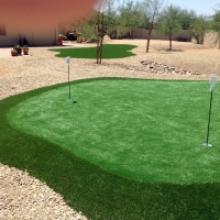 Artificial Grass Alexandria, Indiana Indoor Putting Green, Backyard Garden Ideas