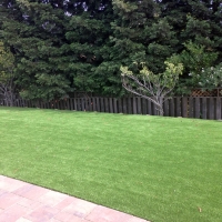 Artificial Grass Bloomington, Indiana Landscape Photos, Backyard Designs