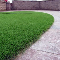 Artificial Grass Carpet Galveston, Indiana Dog Park, Front Yard Landscaping