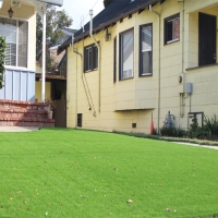 Artificial Grass Columbia City, Indiana Home And Garden, Front Yard Landscaping Ideas