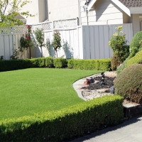 Artificial Grass Kewanna, Indiana Roof Top, Front Yard Landscape Ideas