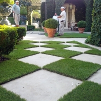 Artificial Lawn Greendale, Indiana Roof Top, Pavers