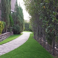 Artificial Turf Borden, Indiana Landscape Design, Front Yard Landscaping Ideas