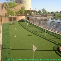 Artificial Turf Cost Warren Park, Indiana Backyard Putting Green, Backyard Landscaping Ideas