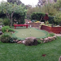 Artificial Turf Dunkirk, Indiana Indoor Putting Green, Backyard Garden Ideas