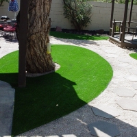 Artificial Turf Elnora, Indiana Landscaping, Backyard