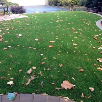 Artificial Turf Orleans, Indiana Backyard Deck Ideas, Front Yard Landscaping Ideas