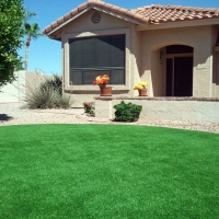 Fake Grass Carpet Brookville, Indiana Gardeners, Front Yard Landscaping Ideas