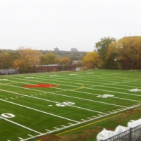 Fake Grass Carpet Clarks Hill, Indiana Red Turf