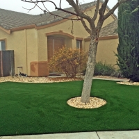 Fake Grass Carpet Colfax, Indiana Landscape Design, Front Yard Design