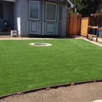 Fake Grass Carpet Hope, Indiana Landscape Design, Backyard Designs