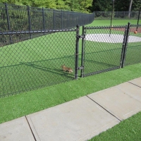 Fake Grass Carpet Montpelier, Indiana Kids Indoor Playground, Parks