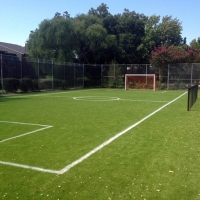 Fake Grass Carpet Mulberry, Indiana Backyard Soccer, Commercial Landscape