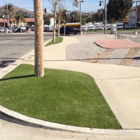 Fake Grass Carpet Redkey, Indiana Landscape Design, Commercial Landscape