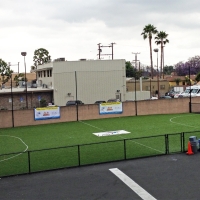 Fake Grass Carpet Roachdale, Indiana Football Field, Commercial Landscape