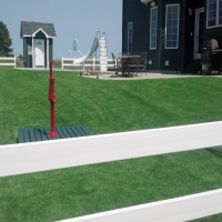 Fake Grass Milltown, Indiana Landscaping Business, Front Yard Ideas