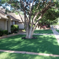 Fake Turf Farmersburg, Indiana Rooftop, Small Front Yard Landscaping