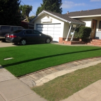 Faux Grass Parker City, Indiana Landscape Photos, Front Yard Landscaping Ideas