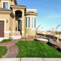 Faux Grass Shirley, Indiana Lawns, Front Yard Ideas