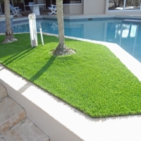 Grass Carpet Arcadia, Indiana Landscape Design, Backyard Makeover