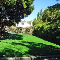 Grass Carpet Geneva, Indiana Landscaping Business, Backyards