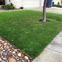 Grass Carpet Knox, Indiana Lawn And Landscape, Front Yard