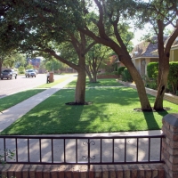 Grass Carpet Rochester, Indiana Landscaping, Small Front Yard Landscaping