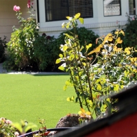 Grass Installation Colfax, Indiana Backyard Playground, Front Yard