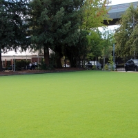 Grass Turf Bainbridge, Indiana Backyard Playground, Commercial Landscape