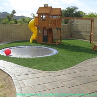 Grass Turf Brownsburg, Indiana Landscape Design, Backyard Ideas