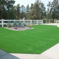 Installing Artificial Grass Taylorsville, Indiana Roof Top, Front Yard Ideas