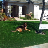 Outdoor Carpet Pendleton, Indiana Landscape Rock, Front Yard