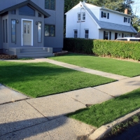 Plastic Grass Cayuga, Indiana Roof Top, Front Yard Ideas