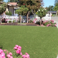 Plastic Grass Clarks Hill, Indiana Landscape Rock, Front Yard