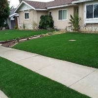 Plastic Grass Edinburgh, Indiana Landscaping, Landscaping Ideas For Front Yard