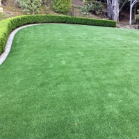 Synthetic Grass Darlington, Indiana Landscape Ideas, Backyard Designs