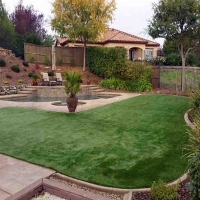 Synthetic Lawn Harlan, Indiana Design Ideas, Backyards