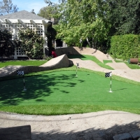 Synthetic Turf Anderson, Indiana Indoor Putting Green, Backyard Ideas