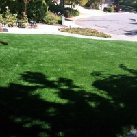 Synthetic Turf Middlebury, Indiana Roof Top, Front Yard Landscape Ideas