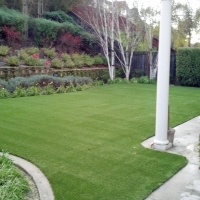 Synthetic Turf Supplier Palmyra, Indiana Cat Grass, Small Backyard Ideas