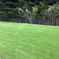 Turf Grass Hagerstown, Indiana Garden Ideas, Backyard Ideas