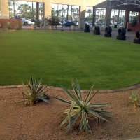 Turf Grass Nashville, Indiana Garden Ideas, Commercial Landscape