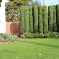 Turf Grass Plymouth, Indiana Rooftop, Small Front Yard Landscaping