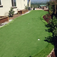 Turf Grass Washington, Indiana Putting Green, Backyard