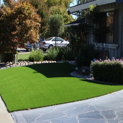 Artificial Grass Carpet Daleville, Indiana Home And Garden, Front Yard Ideas