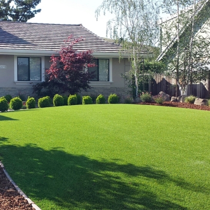 Artificial Grass Carpet Montezuma, Indiana Roof Top, Front Yard Ideas