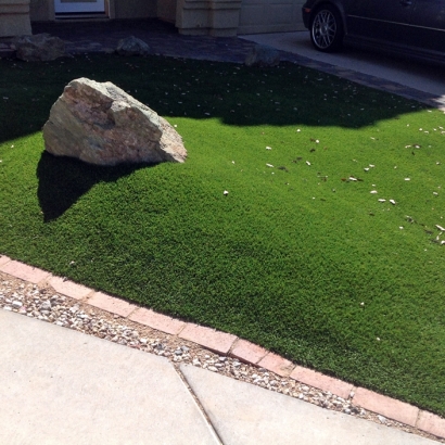 Artificial Grass Carpet Swayzee, Indiana Landscaping Business