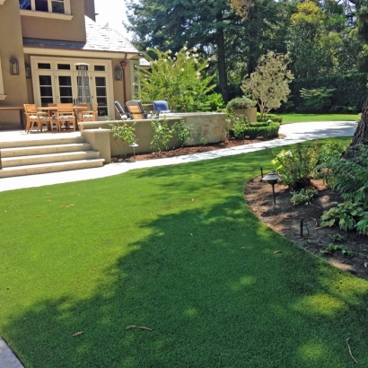 Artificial Grass Carpet Terre Haute, Indiana Landscape Photos, Backyard Landscaping