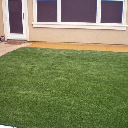 Artificial Grass Georgetown, Indiana Backyard Playground, Backyard Ideas