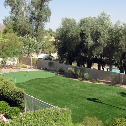 Artificial Grass Hymera, Indiana Home And Garden, Backyard Garden Ideas